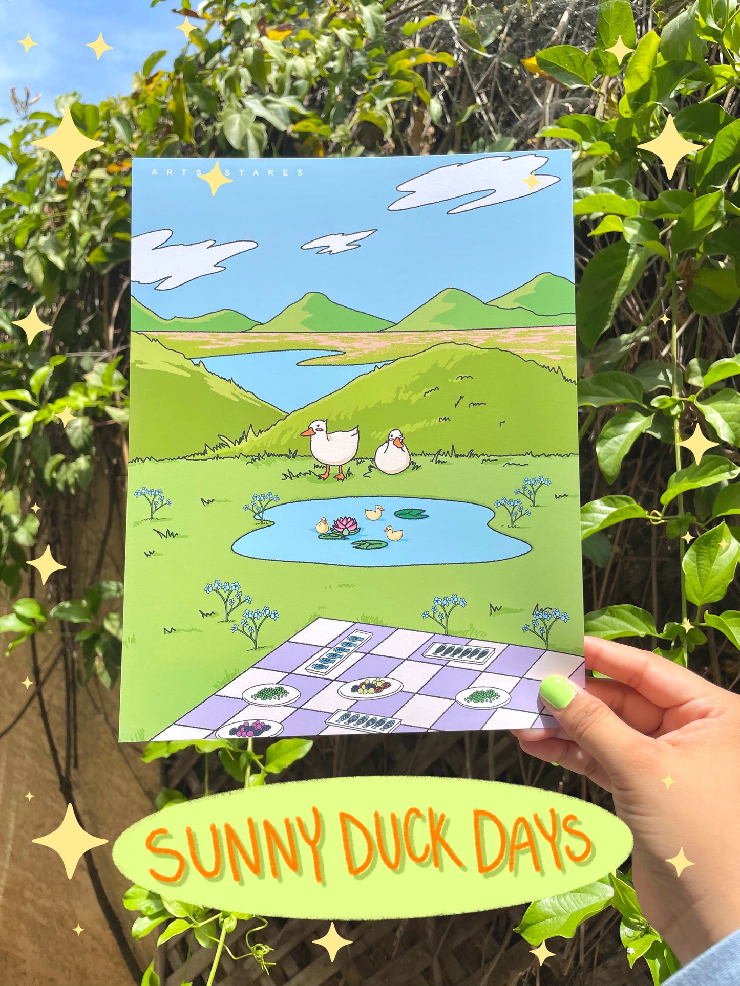 Sunny Duck Days